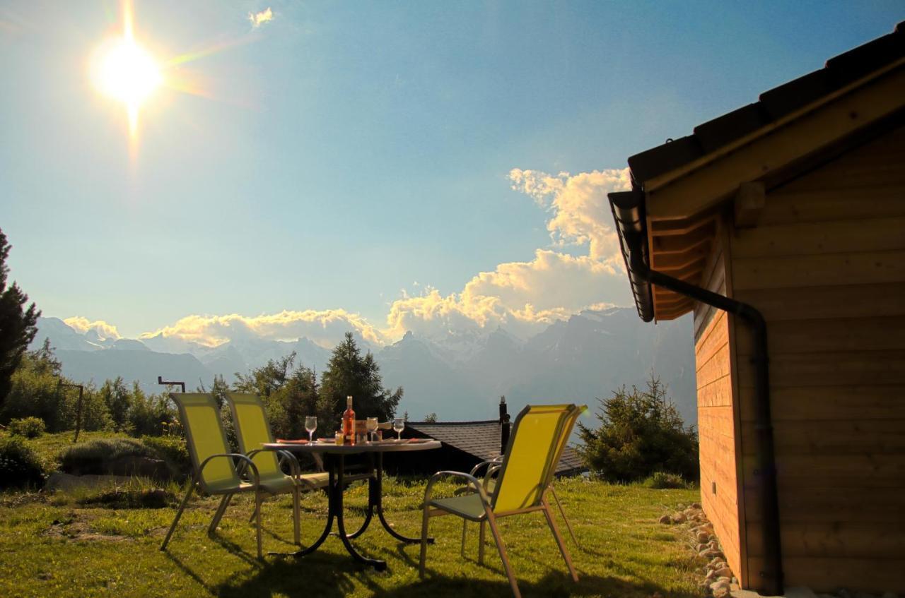 Chalet Mon Sousou Nendaz Εξωτερικό φωτογραφία